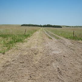 Pasture Pipelinedscn0127
