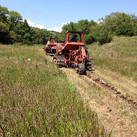 Pasture Pipelineimg 1360